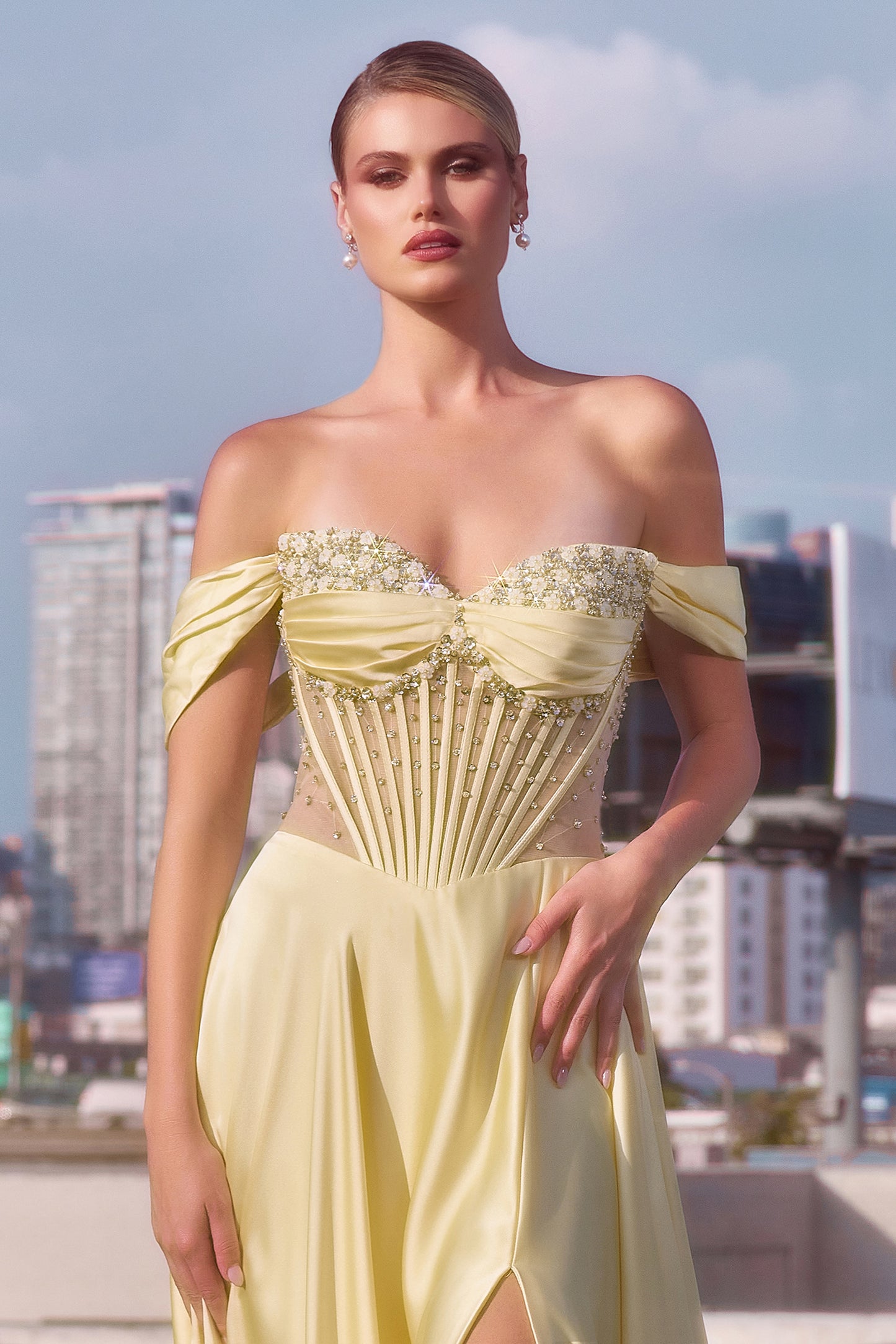 CD297 - Ladivine By Cinderella Divine Dress