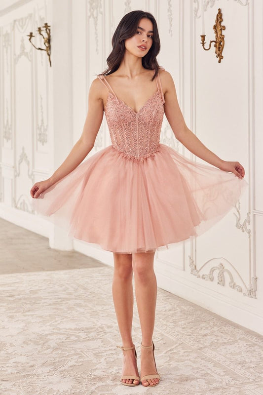 CD0236 - Ladivine by Cinderella Divine Dress