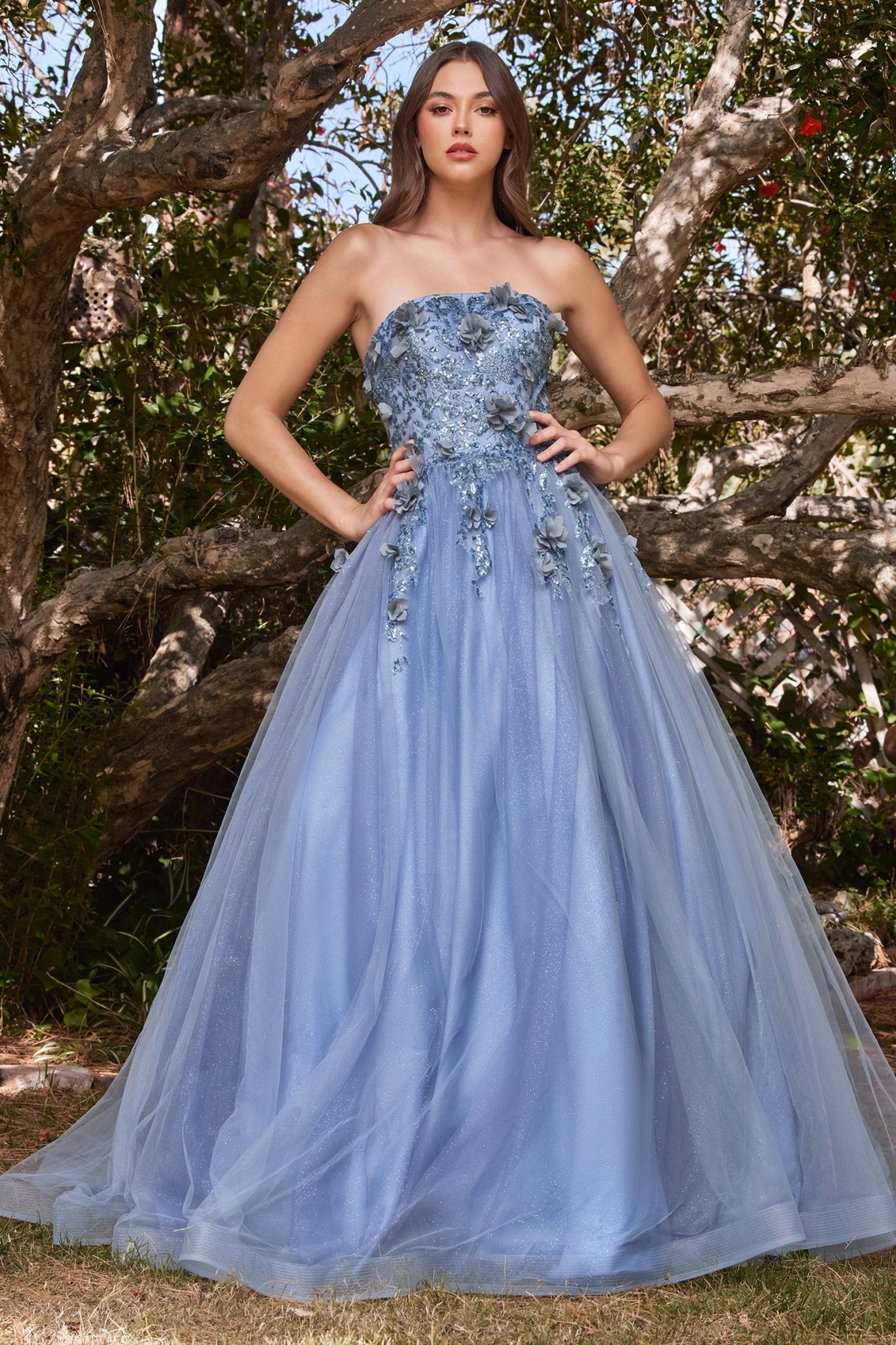 CD955 - Ladivine by Cinderella Divine Dress - PROMPARTY