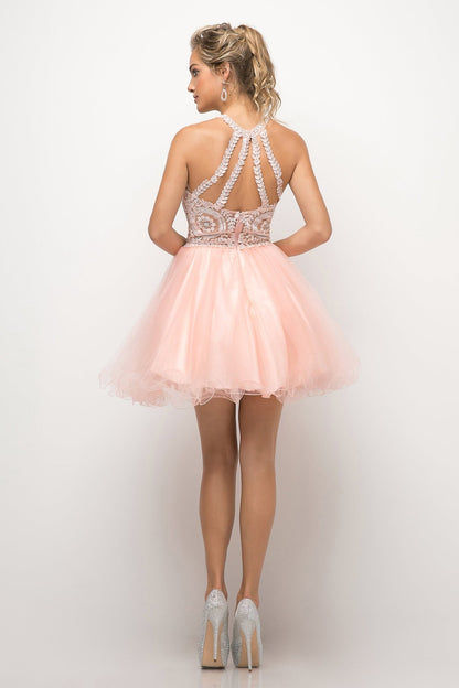 UJ0119 - Ladivine by Cinderella Divine Dress - PROMPARTY